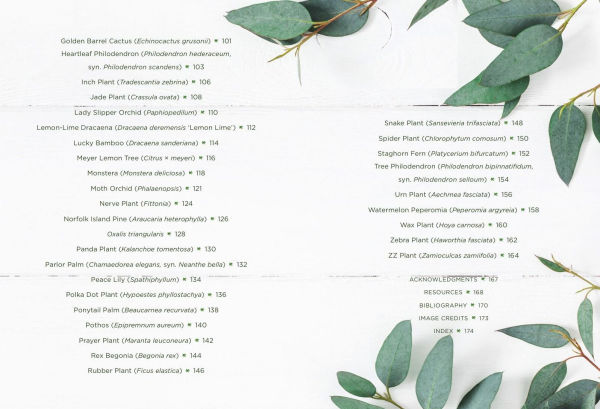 How to Houseplant: A Beginner's Guide Making and Keeping Plant Friends
