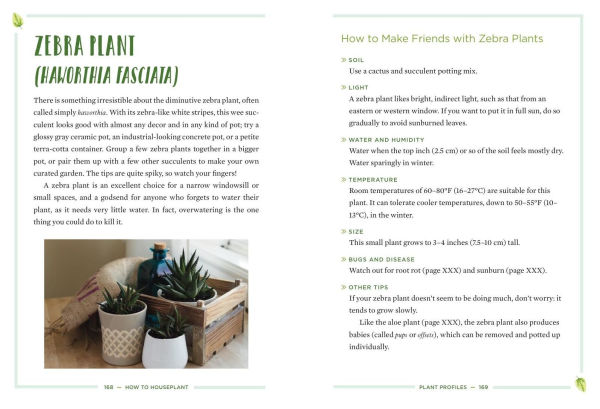 How to Houseplant: A Beginner's Guide Making and Keeping Plant Friends