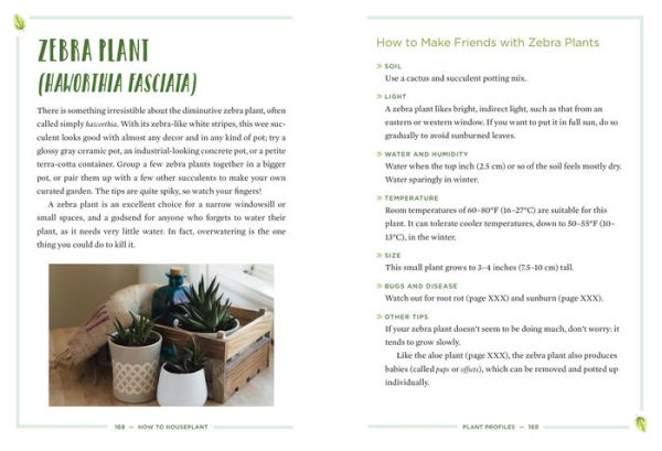 How to Houseplant: A Beginner's Guide to Making and Keeping Plant Friends