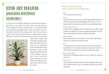 Alternative view 9 of How to Houseplant: A Beginner's Guide to Making and Keeping Plant Friends