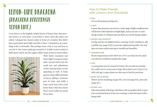 How to Houseplant: A Beginner's Guide Making and Keeping Plant Friends