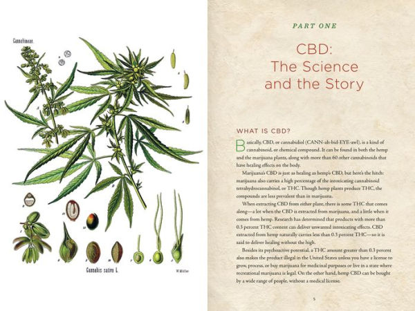 CBD Handbook: Recipes for Natural Living