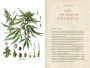 Alternative view 3 of CBD Handbook: Recipes for Natural Living