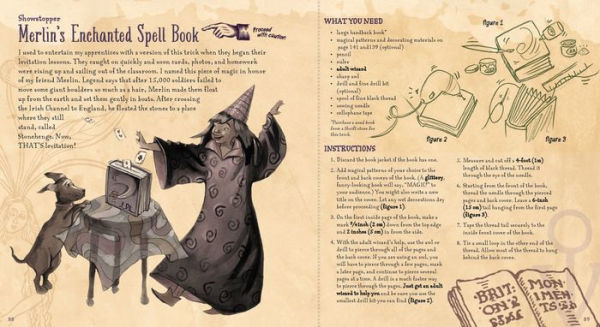 The Book of Wizard Magic: In Which the Apprentice Finds Marvelous Magic Tricks, Mystifying Illusions & Astonishing Tales