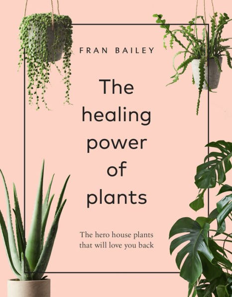 The Healing Power of Plants: The Hero Houseplants That Will Love You Back