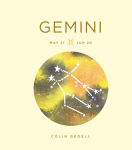 Alternative view 1 of Zodiac Signs: Gemini