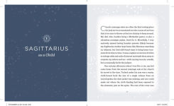 Alternative view 6 of Zodiac Signs: Sagittarius