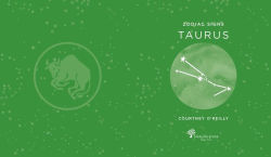 Alternative view 3 of Zodiac Signs: Taurus