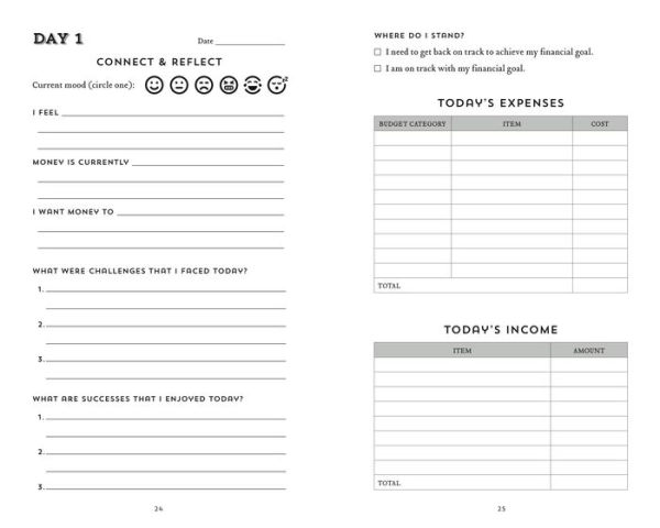 The 100-Day Financial Goal Journal: Build a Plan for Your Financial Future