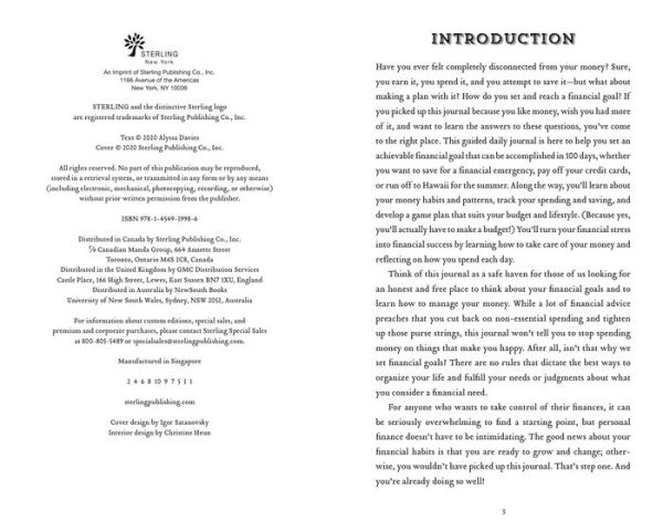 The 100-Day Financial Goal Journal: Build a Plan for Your Financial Future