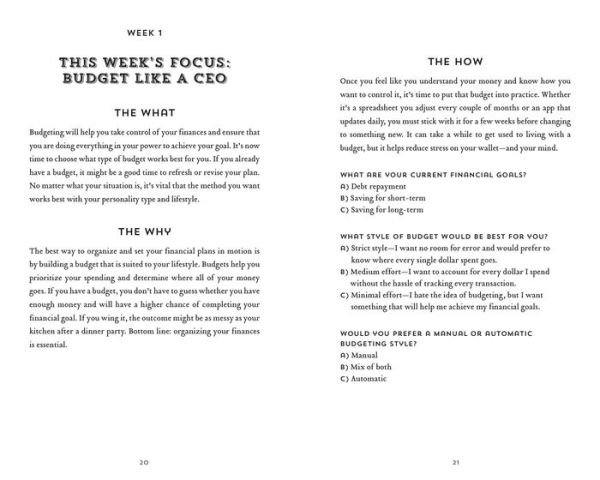 The 100-Day Financial Goal Journal: Build a Plan for Your Financial Future