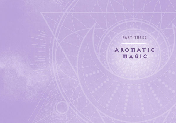 Wicca Essential Oils Magic: A Beginner's Guide to Working with Magic