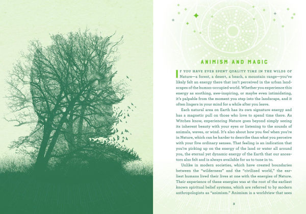 Wicca Nature Magic: A Beginner's Guide to Working with Spellcraft