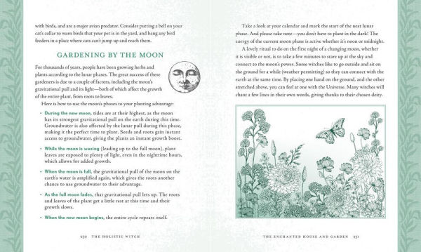 The Holistic Witch: Connecting with Your Personal Power for Magickal Self-Care