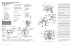 Alternative view 2 of McMurtrie's Human Anatomy Coloring Book