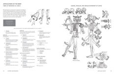 Alternative view 5 of McMurtrie's Human Anatomy Coloring Book