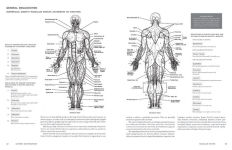 Alternative view 6 of McMurtrie's Human Anatomy Coloring Book