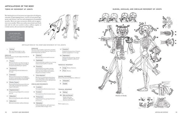 McMurtrie's Human Anatomy Coloring Book