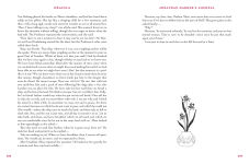 Alternative view 20 of Dracula (Collector's Special Edition)