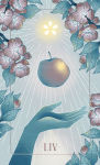 Alternative view 2 of The Seed & Sickle Oracle Deck
