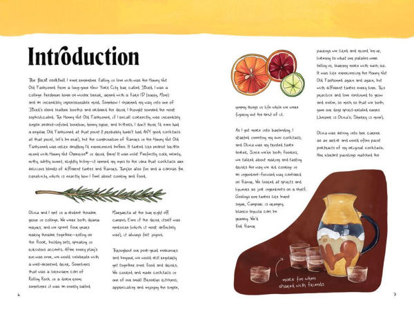 Cocktails Color: A Spirited Guide to the Art and Joy of Drinkmaking - Cocktail Book