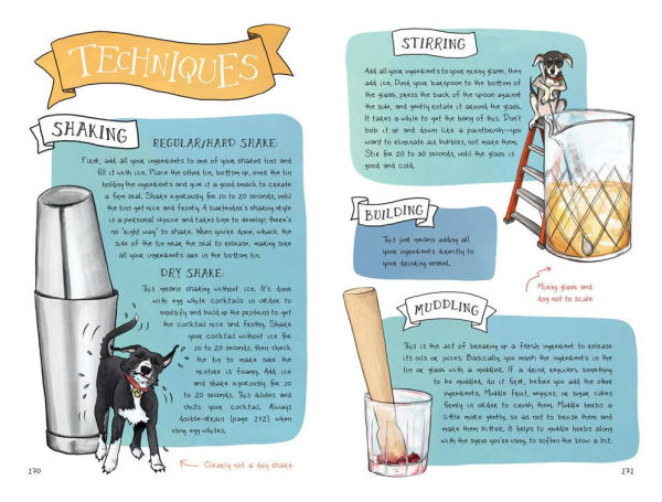 Cocktails Color: A Spirited Guide to the Art and Joy of Drinkmaking - Cocktail Book