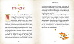 Alternative view 11 of Mushroom Magick: Ritual, Celebration, and Lore