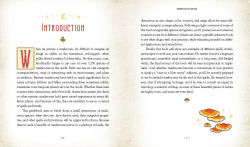 Alternative view 15 of Mushroom Magick: Ritual, Celebration, and Lore