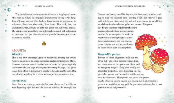 Mushroom Magick: Ritual, Celebration, and Lore