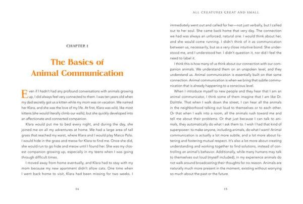 Animal Intuition: Communicating with Pets, Animal Spirits, and the Energies of the Natural World