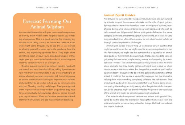 Animal Intuition: Communicating with Pets, Animal Spirits, and the Energies of the Natural World