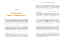 Alternative view 8 of Animal Intuition: Communicating with Pets, Animal Spirits, and the Energies of the Natural World