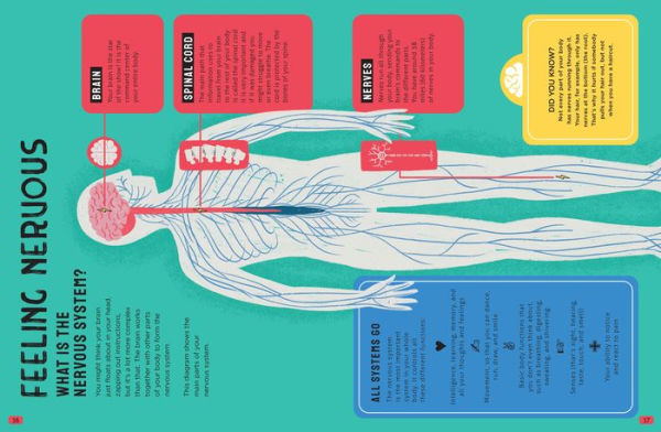 This Book Is Full of Brains: All Kinds of Brains and How They Work