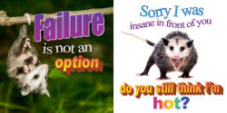Alternative view 5 of No Thoughts Just Possums: 90 Hilarious Memes