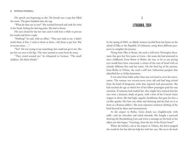 The Partisan: A Spy Thriller