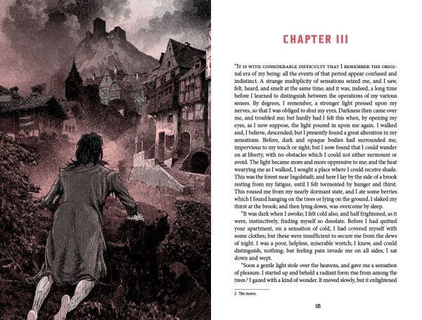 Frankenstein: Deluxe Illustrated Classics