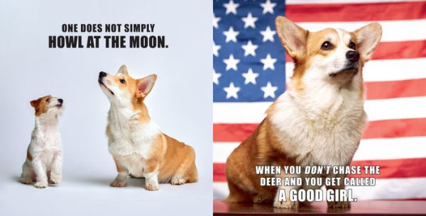 No Thoughts Just Corgis: A Comprehensive Compendium of Cuteness