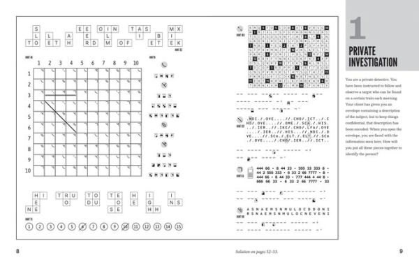 A Compendium of Meta-Puzzles: 20+ Extravaganzas to Untangle-Without Instructions