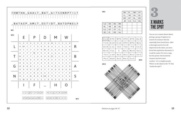 A Compendium of Meta-Puzzles: 20+ Extravaganzas to Untangle-Without Instructions