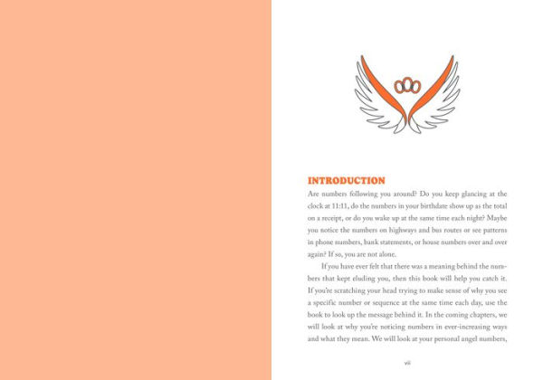 A Little Bit of Angel Numbers: An Introduction to Messages from the Universe