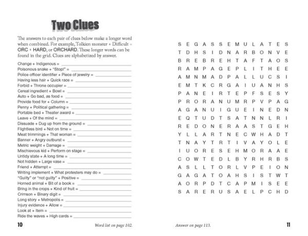 Off-the-Wall Word Searches