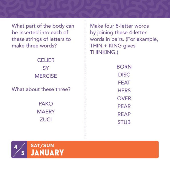 2025 365 Brainteasers Day-to-Day Calendar