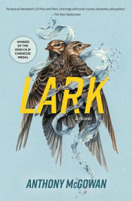 Title: Lark: A Novel, Author: Anthony McGowan