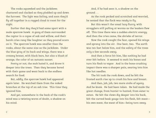Rook: A Novel