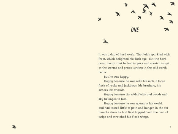 Rook: A Novel