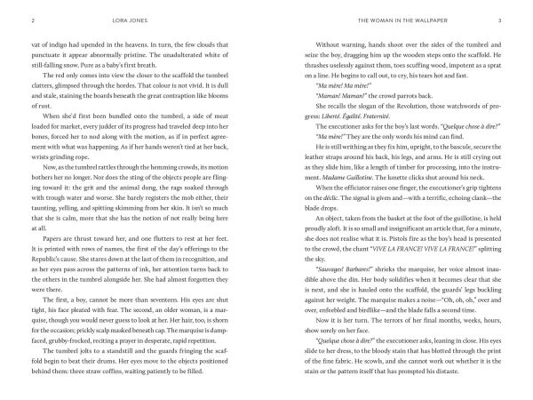 the Woman Wallpaper: A Novel