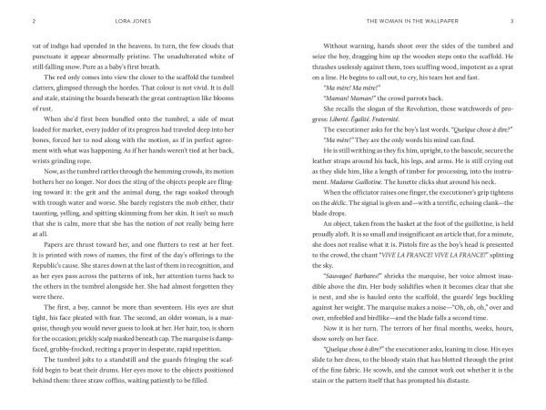 the Woman Wallpaper: A Novel