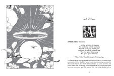 Alternative view 9 of Botanical Curses and Poisons: The Shadow-Lives of Plants