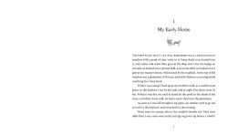 Alternative view 14 of Black Beauty