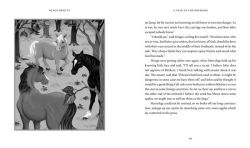 Alternative view 5 of Black Beauty
